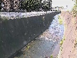 �V�O�֋��t�߂̉摜