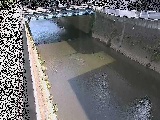 ���g���t�߂̉摜