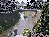 ���㋴�t�߂̉摜