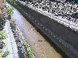 �������t�߂̉摜