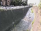 �V�O�֋��t�߂̉摜