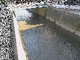 ���g���t�߂̉摜