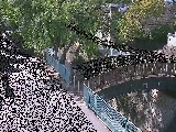 ���c�l�����t�߂̉摜