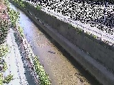 �������t�߂̉摜