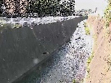 �V�O�֋��t�߂̉摜