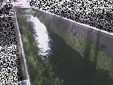 ���m���t�߂̉摜
