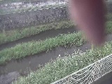 �K�������t�߂̉摜