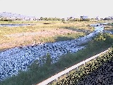 �x�m�����t�߂̉摜
