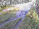 �ʐ싴�t�߂̉摜