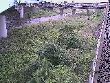��E���t�߂̉摜