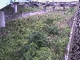 ��E���t�߂̉摜