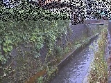 �����t�߂̉摜