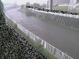 �ΐ싴�t�߂̉摜