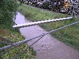 ��C���t�߂̉摜