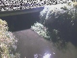 �V�������t�߂̉摜