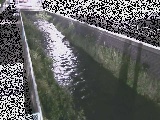���m���t�߂̉摜