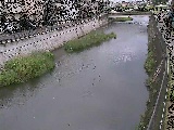 ��R���t�߂̉摜