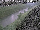 �������t�߂̉摜