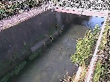 �g�싴�t�߂̉摜