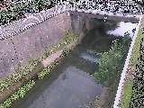�g�싴�t�߂̉摜