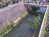 �g�싴�t�߂̉摜
