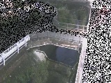 ����݋��t�߂̉摜