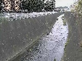 �V�O�֋��t�߂̉摜