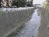 �V�O�֋��t�߂̉摜