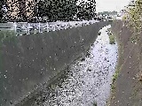 �V�O�֋��t�߂̉摜