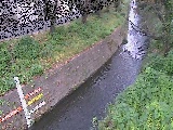 �������t�߂̉摜