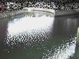 ���c�����t�߂̉摜