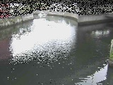 ���c�����t�߂̉摜