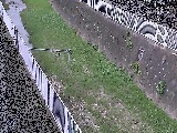 �����t�߂̉摜