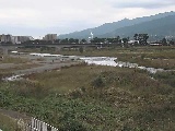 ���c�t�߂̉摜