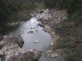 ���R���t�߂̉摜