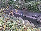 ��Ό��t�߂̉摜