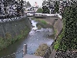 ���㋴�t�߂̉摜