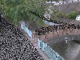 ���c�l�����t�߂̉摜