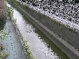 �������t�߂̉摜