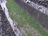 �����t�߂̉摜