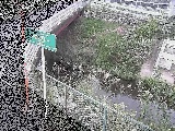 ���a���t�߂̉摜