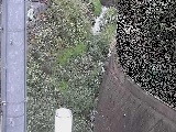 �V�������t�߂̉摜