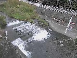 �V�苴�t�߂̉摜