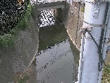 �勴�t�߂̉摜
