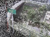 ���a���t�߂̉摜
