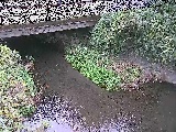 �V�������t�߂̉摜