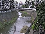 ���㋴�t�߂̉摜