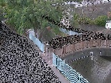 ���c�l�����t�߂̉摜