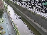 �������t�߂̉摜