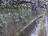 �����t�߂̉摜